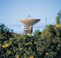 Big Dish - Accommodation Cairns