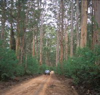 Boranup Drive - Accommodation Cairns