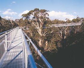  Accommodation Cairns