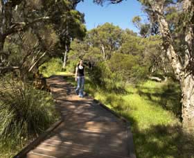 Leschenault Peninsula Conservation Park - Accommodation Cairns 0