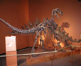 Denmark Dinosaur World - Accommodation Cairns 0