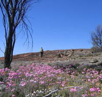 Talgomine Reserve - Accommodation Cairns
