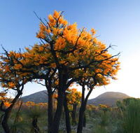 Cape Le Grand National Park - Accommodation Cairns