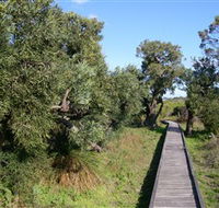 Kepwari Trails Wetland Wonderland - Accommodation Cairns