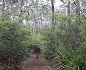  Accommodation Cairns