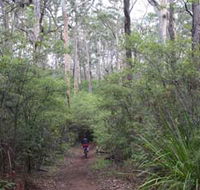 Margaret River Rails Trail - Accommodation Cairns