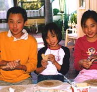 Peel Pottery - Accommodation Cairns