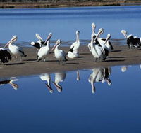 Peel Region Canoe Trails - Accommodation Cairns