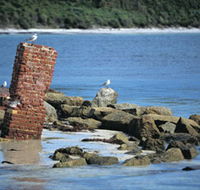Whalers Beach - Accommodation Cairns