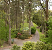 Mount Lofty Botanic Garden - Accommodation Cairns