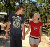 Crooked Brook Forest - Accommodation Cairns