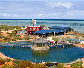 Shark Bay WA Accommodation Cairns