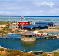 Ocean Park Aquarium - Accommodation Cairns
