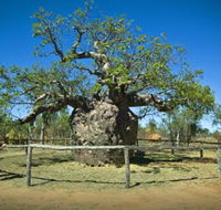 Pigeon Heritage Trail - Accommodation Cairns