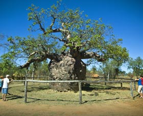 Pigeon Heritage Trail - Accommodation Cairns 0