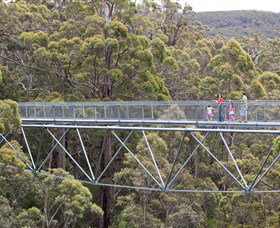 Walpole Wilderness Discovery Centre - Accommodation Cairns 0