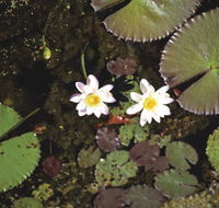 Parry Lagoons Nature Reserve - Accommodation Cairns