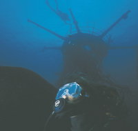 Swan Dive Wreck - Accommodation Cairns