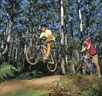 Leeuwin-Naturaliste National Park - Cowaramup - Accommodation Cairns