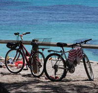 Parker Point Marine Snorkel Trail - Accommodation Cairns