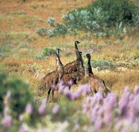 Jurabi Coastal Reserve - Accommodation Cairns