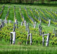 Sienna Estate Winery - Accommodation Cairns