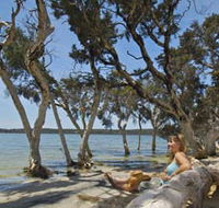 Stokes National Park - Accommodation Cairns