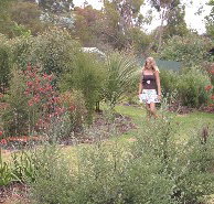 The Mythic Mazes - Accommodation Cairns