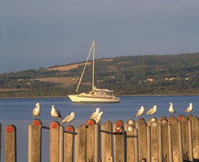 Oyster Harbour - Accommodation Cairns 0