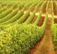 Xanadu Wines - Accommodation Cairns