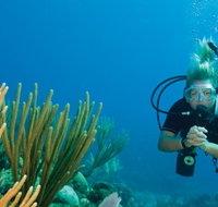 Coastal Water Dive - Accommodation Cairns