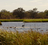 Anytime Adventures in Mandurah  the Peel Region - Accommodation Cairns