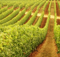 Happs Wines - Accommodation Cairns