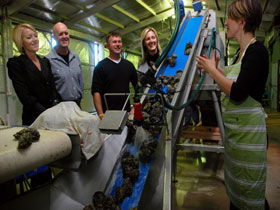 Eyre Peninsula's Seafood Trail - Accommodation Cairns 0
