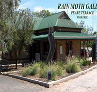 Rain Moth Gallery - Accommodation Cairns
