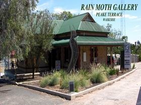 Rain Moth Gallery - Accommodation Cairns 0