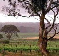 Yangarra Estate Vineyard - Accommodation Cairns