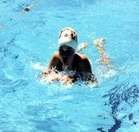 Mount Gambier Aquatic Centre - Accommodation Cairns