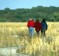 Onkaparinga River Recreation Park - Accommodation Cairns