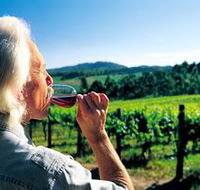 Ashton Hills Vineyard - Accommodation Cairns