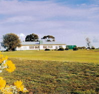 Lucindale Country Club - Accommodation Cairns