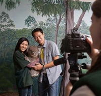 Cleland Wildlife Park - Accommodation Cairns