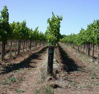 Temple Bruer Winery - Accommodation Cairns