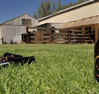 Wilkadene Woolshed Brewery - Accommodation Cairns