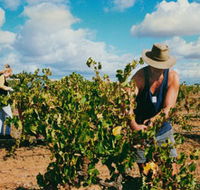 Torbreck Vintners - Accommodation Cairns