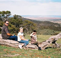 Bridle Track - Accommodation Cairns