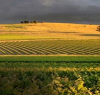 Kellermeister Wines - Accommodation Cairns
