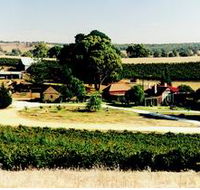 Irvine Wines - Accommodation Cairns