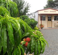 Gully Gardens - Accommodation Cairns