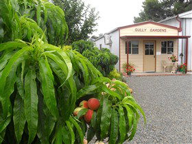 Gully Gardens - Accommodation Cairns 0